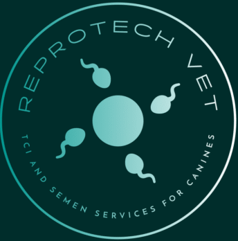 Canine Reproductive Services Manchester | ReprotechVet